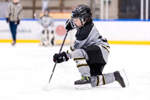 St&oslash;t Erik 88 - Hockey