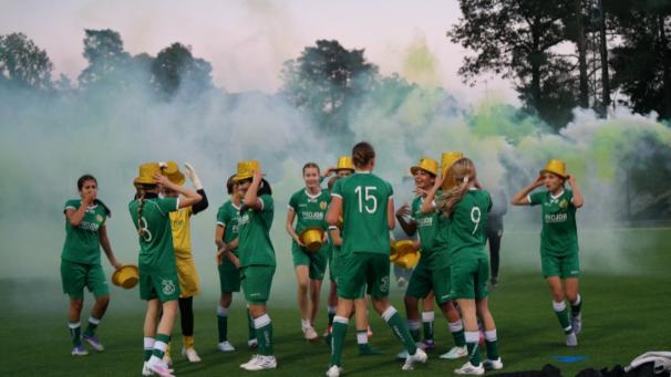 St&ouml;d HAMMARBY IF AKADEMI FLICKOR 14 - Football