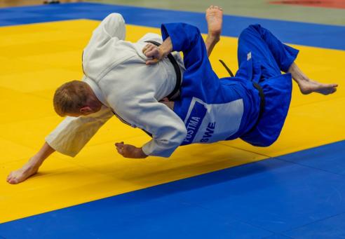 St&ouml;d min resa till Veteran-VM & EM - Judo