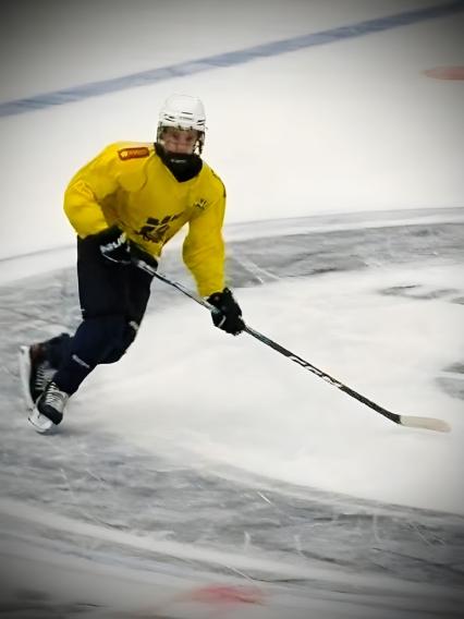 Augusts vej mod dr&oslash;mmene ️  - Hockey